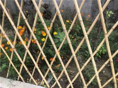 及的话题是近年大热的文创产物